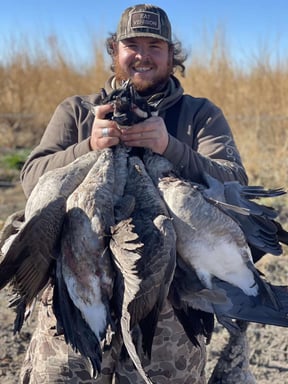 Goose Season 2024