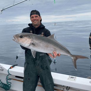 The Difference Between Lesser & Greater Amberjack