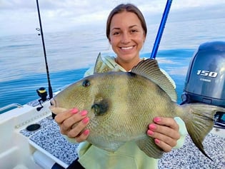 Triggerfish Fishing in Sarasota, Florida