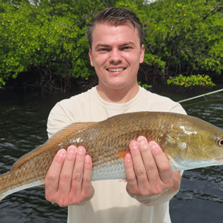 Redfish Fishing in Naples, Florida