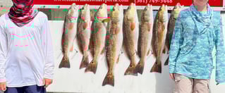 Inshore Guided Trip