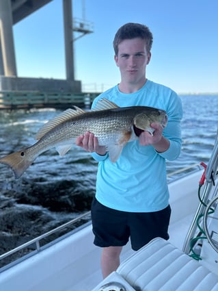 Spring/Summer Inshore Fishing