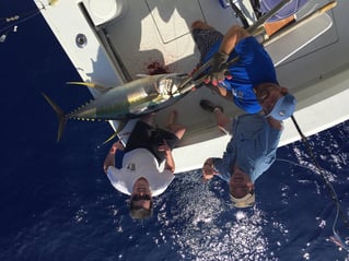 Ahi and A'u Adventure - 40'
