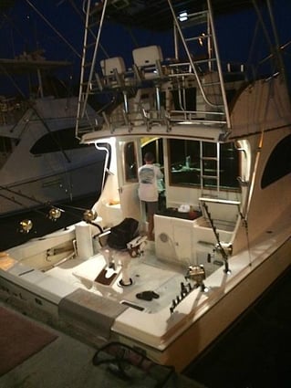 Ahi and A'u Adventure - 40'