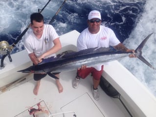 Ahi and A'u Adventure - 40'