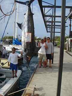 Ahi and A'u Adventure - 40'