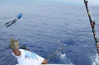 Ahi and A'u Adventure - 40'
