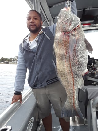 Epic Jacksonville Jetty Trip / 6 hr.