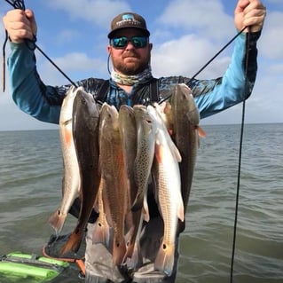 POC Fishing Frenzy