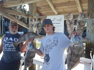 Black Drum Fishing in Jacksonville, Florida