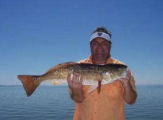 Laguna Madre Drift