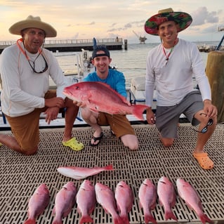 Federal Red Snapper Romp