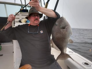 Federal Red Snapper Romp