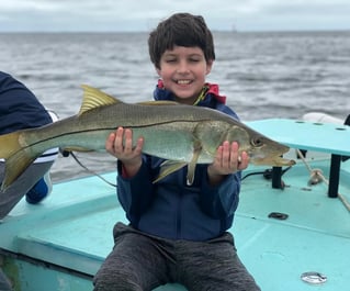 Clearwater Inshore Fishing