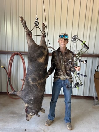 Hog Hunt