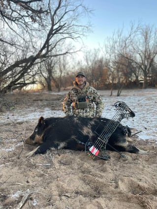 Hog Hunt