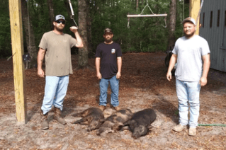 101-130 lb HOG