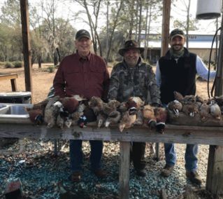 Pheasant Hunts