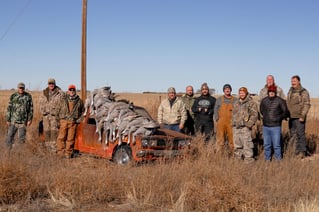 Sandhill Crane Insanity