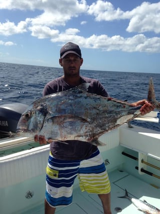 Tuna Marlin and More
