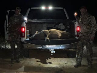 Bivins Hog Hunts
