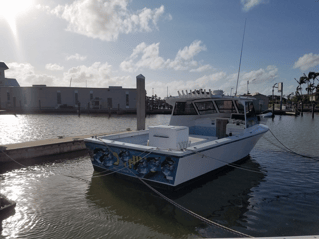 Marco Island Charter Fishing