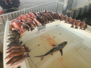 Cocodrie Long Range Offshore