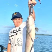 Channel Catfish Sandusky Bay
