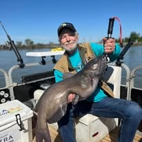 Channel Catfish Sandusky Bay