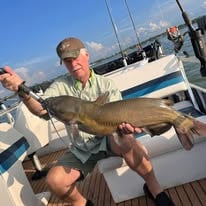 Channel Catfish Sandusky Bay