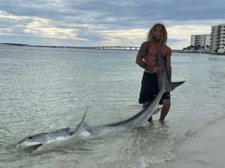 Nearshore/Offshore Sportfishing
