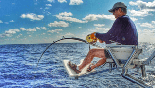 Miami Nearshore/Offshore Sportfishing