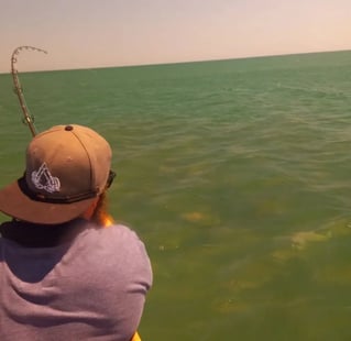 Half day(4hr) inshore/nearshore