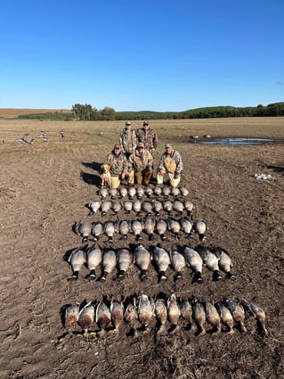 Duck Hunts