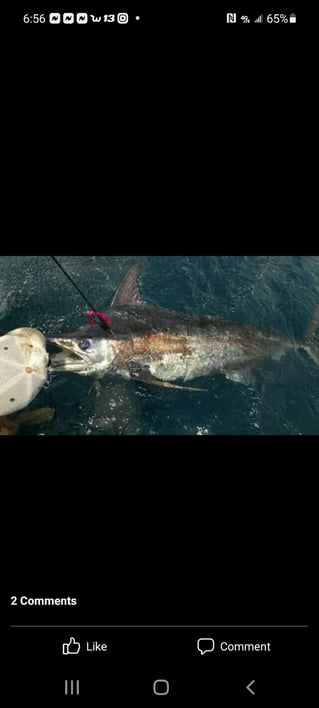 PASCAGOULA INSHORE AT ITS BEST