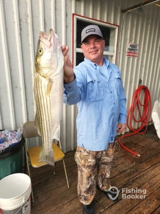 4 Hour Striper
