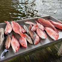 Full Day State Water Trip