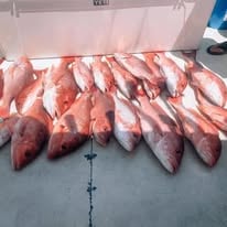 Full Day State Water Trip