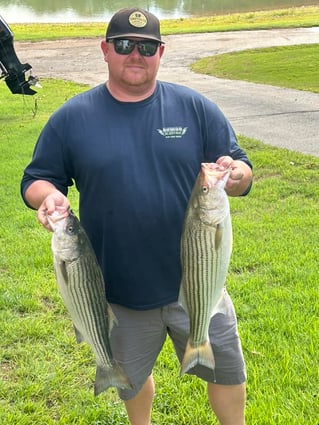 Striped Bass on beautiful Beaver Lake in NW Arkansas.