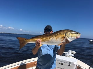 Inshore Fishing Charters