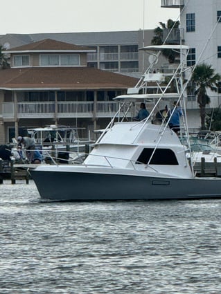 Destin Offshore Fishing