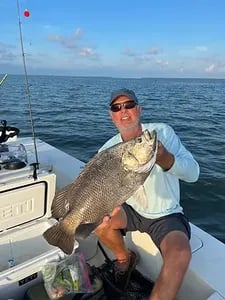 Tripletail Fishing in Apalachicola, Florida