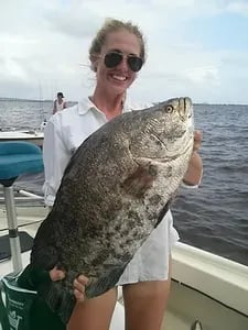 Tripletail Fishing in Apalachicola, Florida
