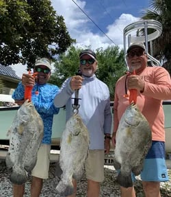 Tripletail Fishing in Apalachicola, Florida