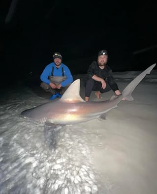 12 Hour Land Based Shark Fishing Trip!