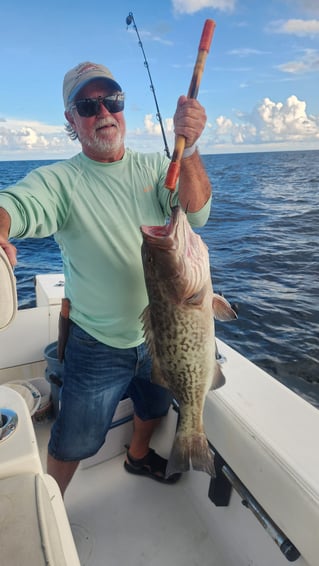 Bringing home the DINNER!!!!!
