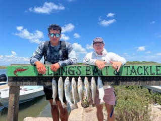 Inshore bait trip