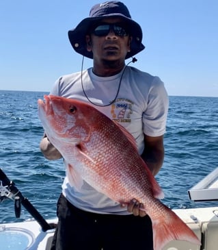 6-8 Hour Trip – Offshore