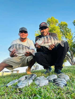 Inshore 4hr Trip