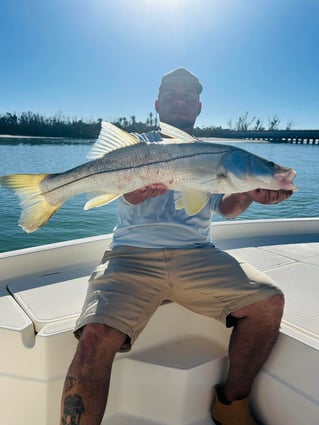 Inshore 4hr Trip